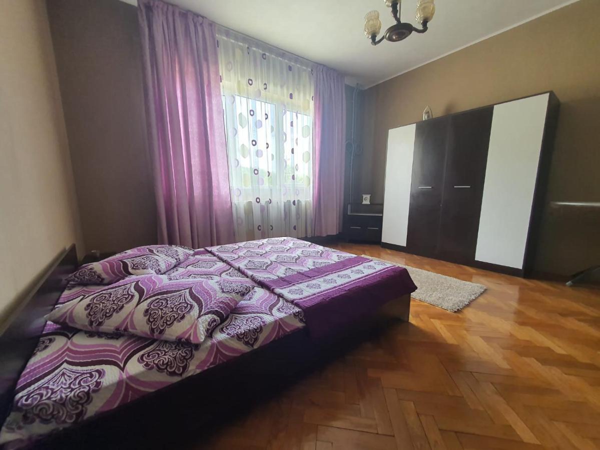 Vila Pretty Garden Orşova Exteriér fotografie