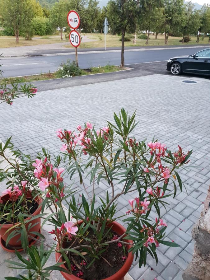 Vila Pretty Garden Orşova Exteriér fotografie